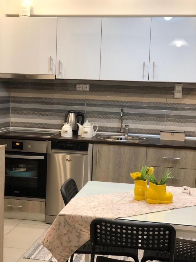 Xenia_Apartments A7 Kozani Exteriér fotografie